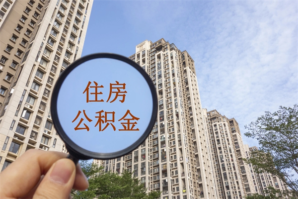 公积金怎么一次性全部提取-菏泽公积金代办平台